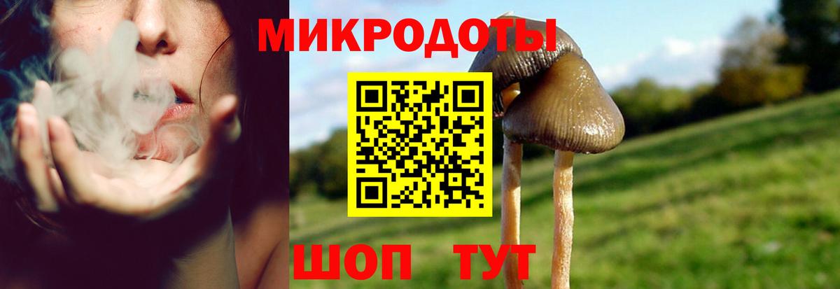 Псилоцибиновые грибы MAGIC MUSHROOMS  Псилоцибиновые грибы Magic Shrooms  Миасс  Вход с VPN 