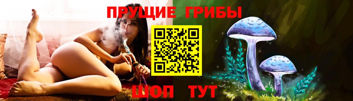 Псилоцибиновые грибы Psilocybe Миасс